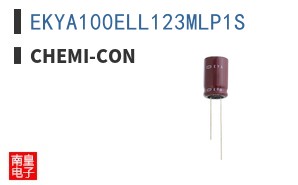 EKYA100ELL123MLP1S