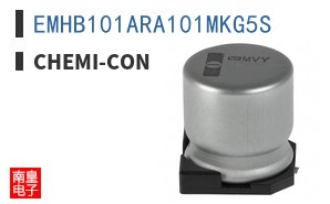 EMHB101ARA101MKG5S