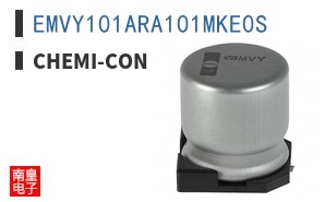 EMVY101ARA101MKE0S