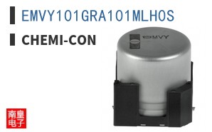 EMVY101GRA101MLH0S