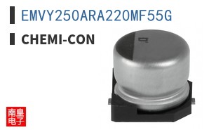 EMVY250ARA220MF55G