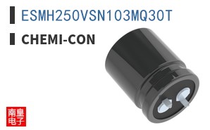 ESMH250VSN103MQ30T