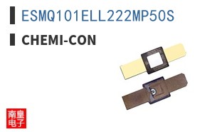 ESMQ101ELL222MP50S