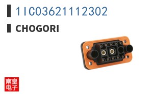 1IC03621112302