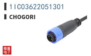1IC03622051301