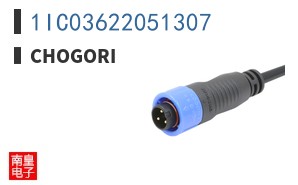 1IC03622051307