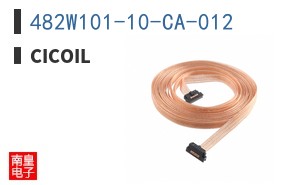 482W101-10-CA-012