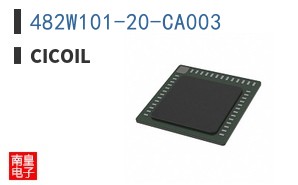 482W101-20-CA003