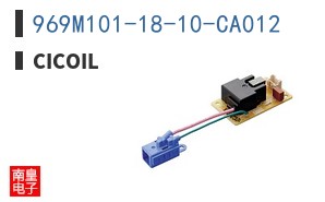 969M101-18-10-CA012