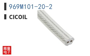 969M101-20-2