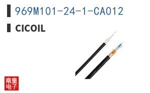 969M101-24-1-CA012