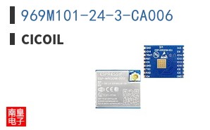 969M101-24-3-CA006
