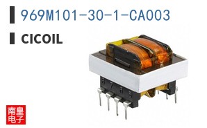 969M101-30-1-CA003