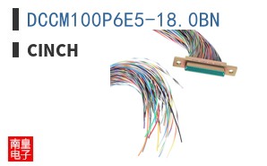 DCCM100P6E5-18.0BN