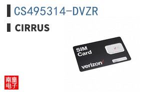 CS495314-DVZR