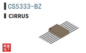 CS5333-BZ