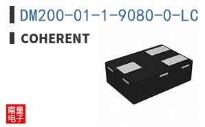 DM200-01-1-9080-0-LC