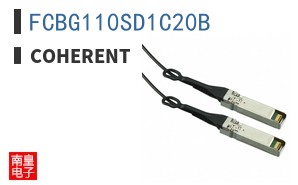 FCBG110SD1C20B