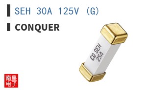 SEH 30A 125V (G)