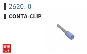 2620.0