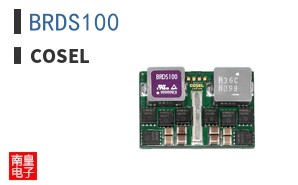 BRDS100