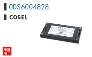 CDS6004828