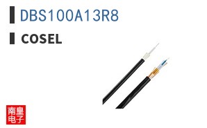 DBS100A13R8
