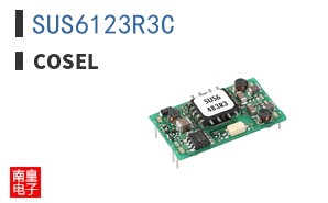 SUS6123R3C
