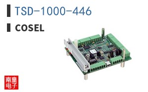 TSD-1000-446