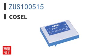ZUS100515