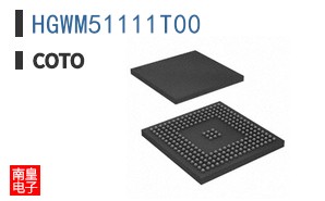 HGWM51111T00