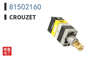 81502160