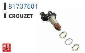 81737501