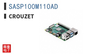 SASP100M110AD