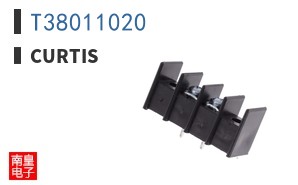 T38011020