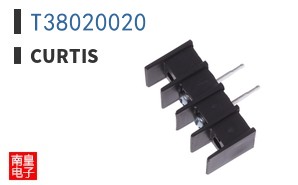 T38020020