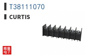 T38111070