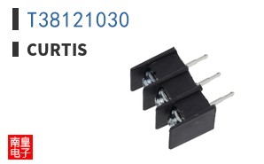 T38121030