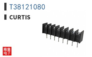 T38121080