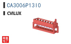 CA3006P13I0