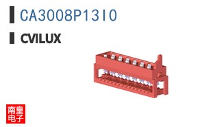 CA3008P13I0