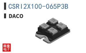 CSRI2X100-065P3B
