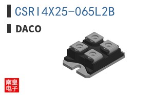 CSRI4X25-065L2B