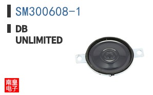SM300608-1
