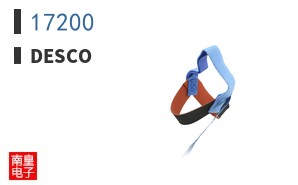 17200