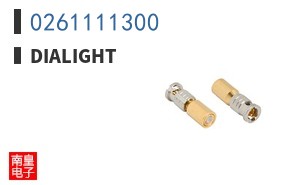 0261111300