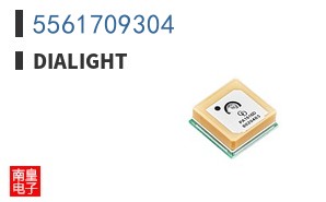 5561709304
