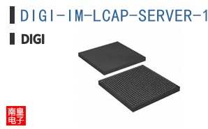 DIGI-IM-LCAP-SERVER-1YR