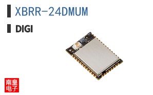 XBRR-24DMUM