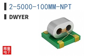 2-5000-100MM-NPT